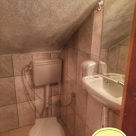 Pensiune коларски Sapareva Bania