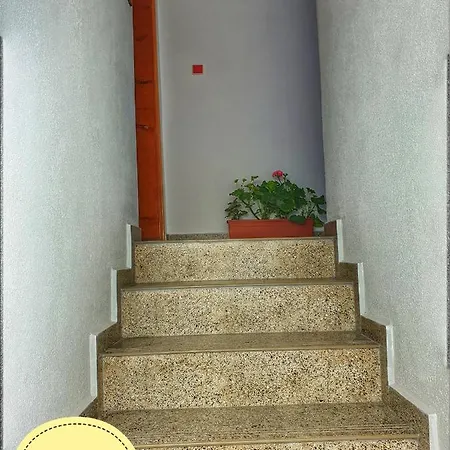 Pensiune коларски Sapareva Bania