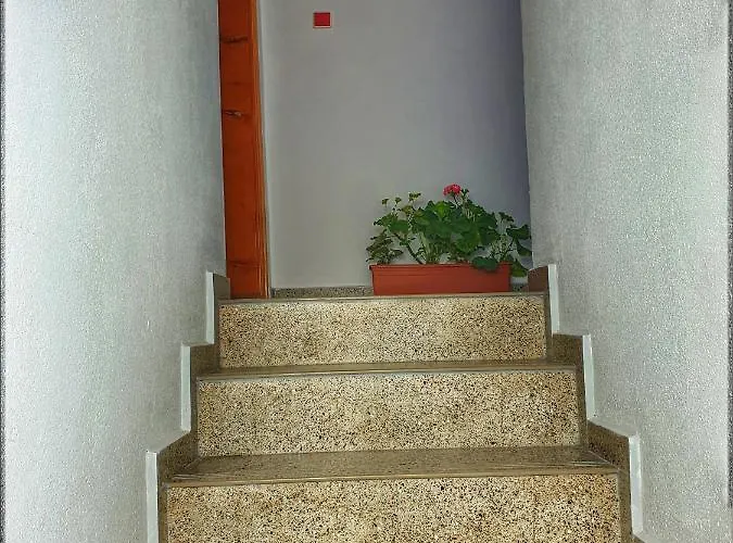 Penzion коларски Sapareva Banja